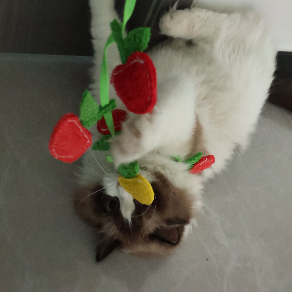 BUY 1 Get 2 Eco-Friendly Cat Teaser Wand - Natural Loofah Fiber, Gentle on Teeth & Paws, Includes Catnip