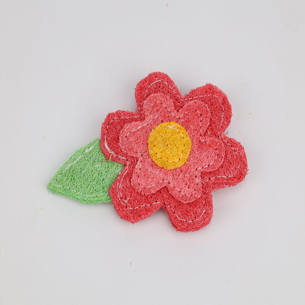 Natural Loofah Pet Toy