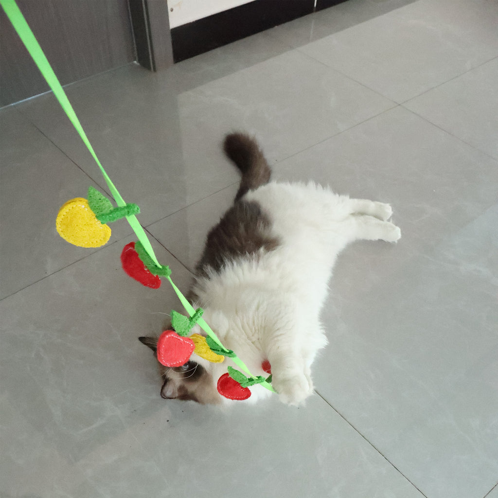 BUY 1 Get 2 Eco-Friendly Cat Teaser Wand - Natural Loofah Fiber, Gentle on Teeth & Paws, Includes Catnip