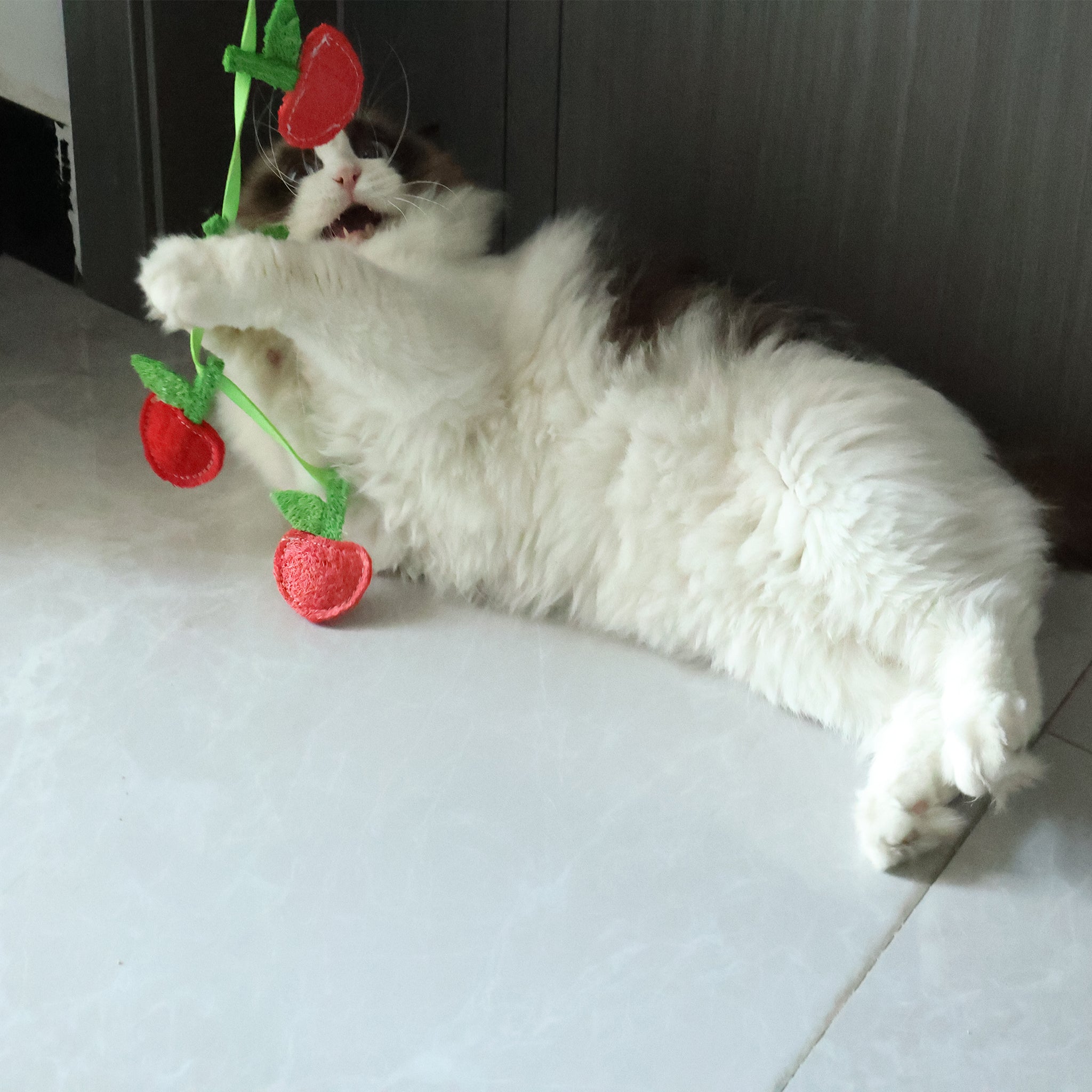 BUY 1 Get 2 Eco-Friendly Cat Teaser Wand - Natural Loofah Fiber, Gentle on Teeth & Paws, Includes Catnip