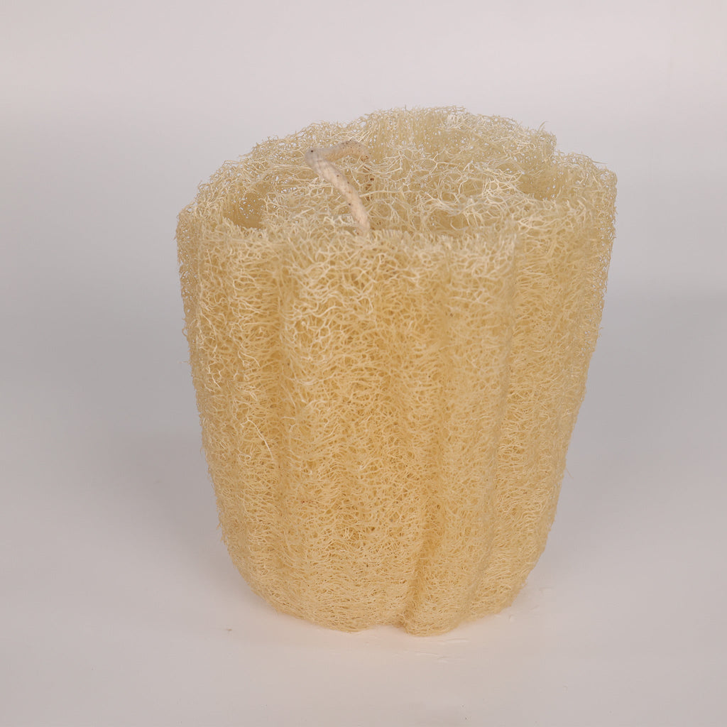 100% Natural Luffa Sponge for Kitchen Cleaning | Eco-Friendly Scrubber | Biodegradable & Reusable