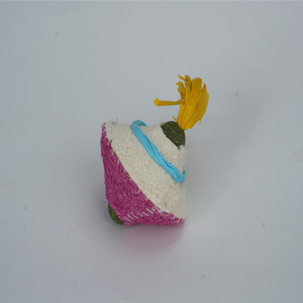 Luffa Sponge Candy - Shaped Pet Toy