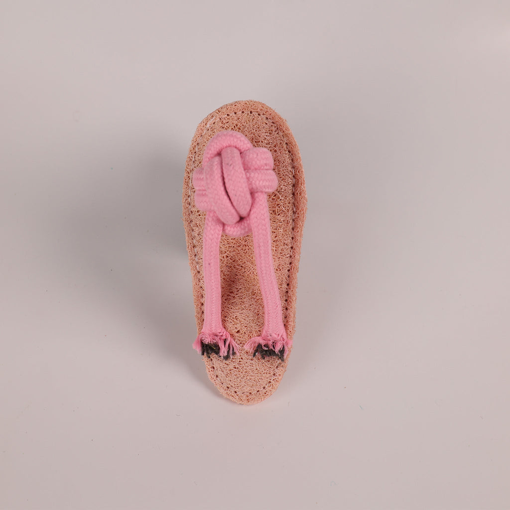 Bite-Resistant Interactive Catnip Slipper-Shaped Loofah Cat and Dog Toy