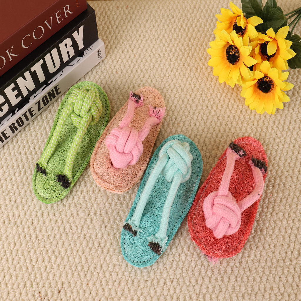 Bite-Resistant Interactive Catnip Slipper-Shaped Loofah Cat and Dog Toy
