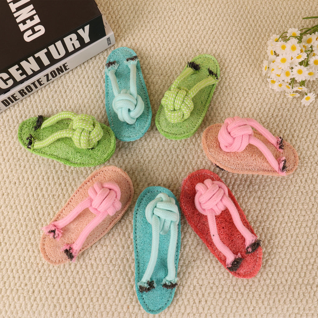 Bite-Resistant Interactive Catnip Slipper-Shaped Loofah Cat and Dog Toy