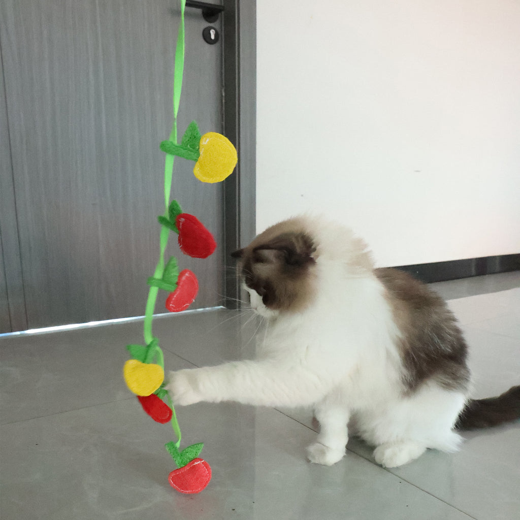 BUY 1 Get 2 Eco-Friendly Cat Teaser Wand - Natural Loofah Fiber, Gentle on Teeth & Paws, Includes Catnip