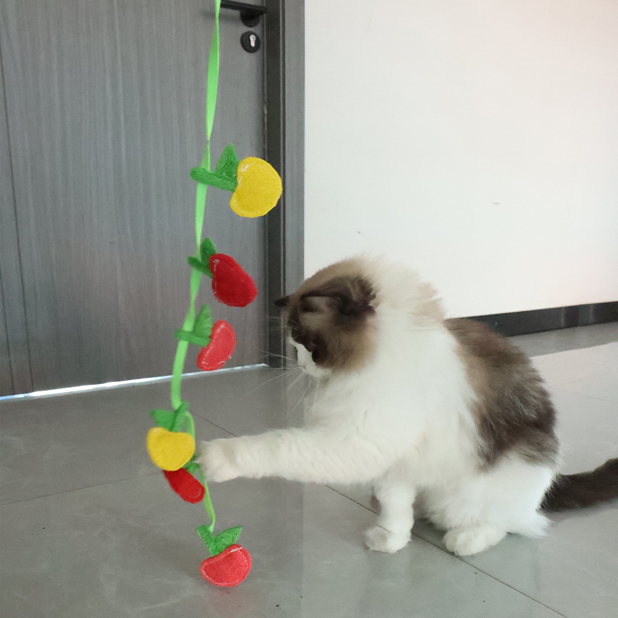 BUY 1 Get 2 Eco-Friendly Cat Teaser Wand - Natural Loofah Fiber, Gentle on Teeth & Paws, Includes Catnip