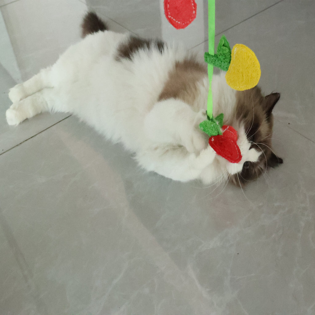 BUY 1 Get 2 Eco-Friendly Cat Teaser Wand - Natural Loofah Fiber, Gentle on Teeth & Paws, Includes Catnip