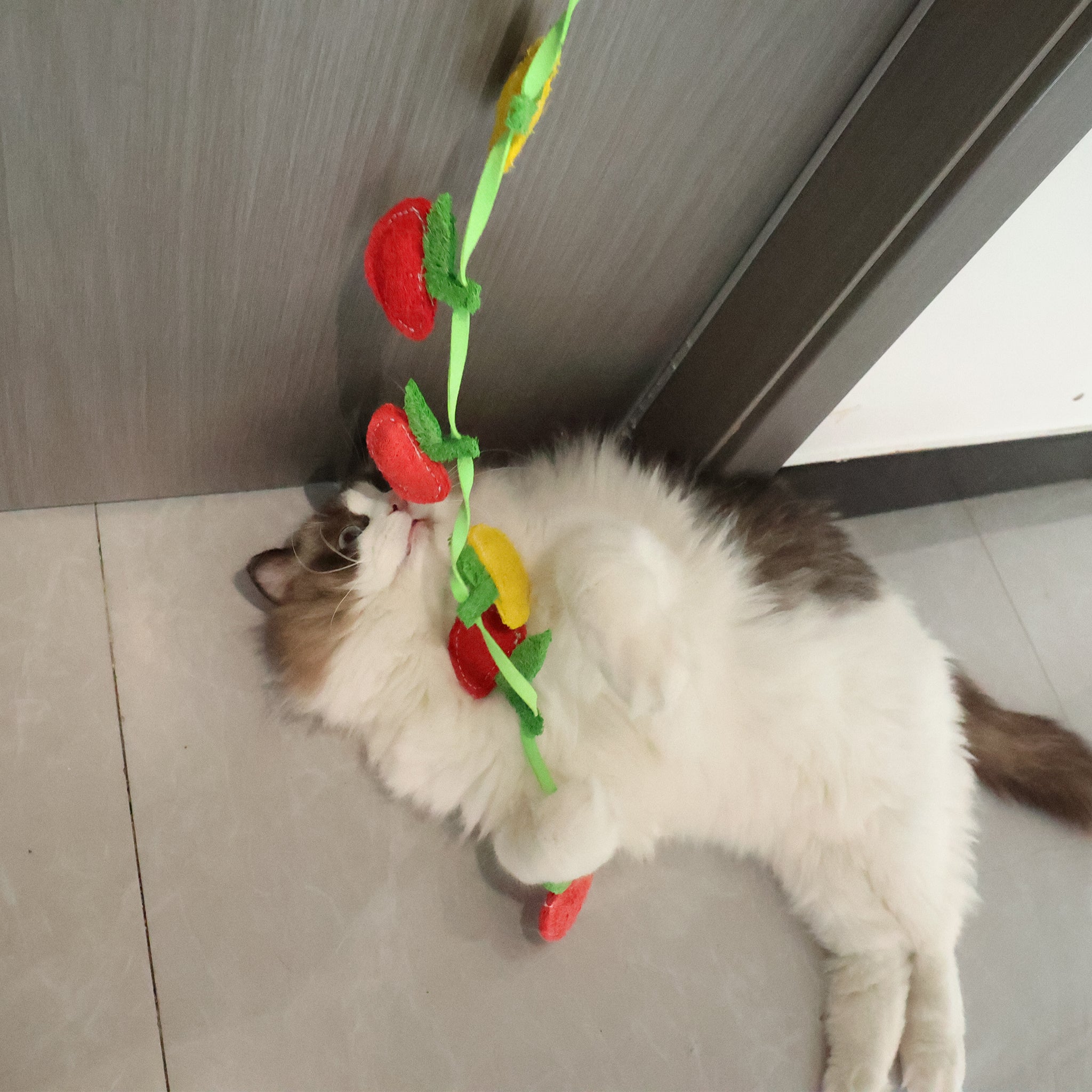 BUY 1 Get 2 Eco-Friendly Cat Teaser Wand - Natural Loofah Fiber, Gentle on Teeth & Paws, Includes Catnip