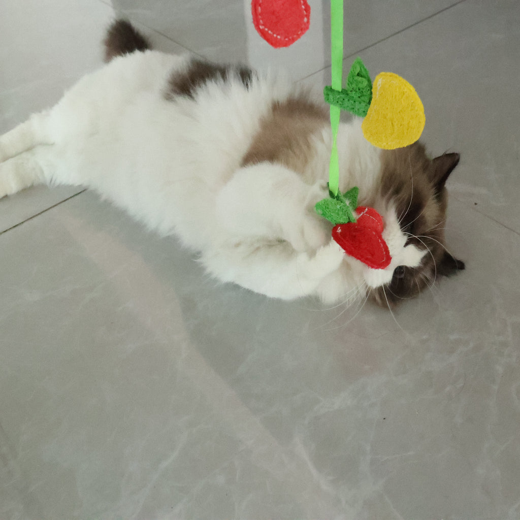 BUY 1 Get 2 Eco-Friendly Cat Teaser Wand - Natural Loofah Fiber, Gentle on Teeth & Paws, Includes Catnip